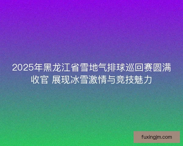 2025年黑龙江省雪地气排球巡回赛圆满收官 展现冰雪激情与竞技魅力